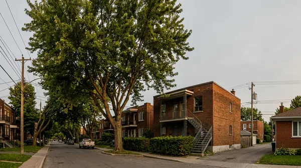 Entrepreneur Émondage Montréal à Montréal